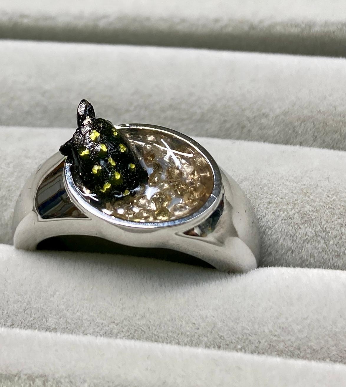 池から出ようとするキボシイシガメさんのリング　　＃16